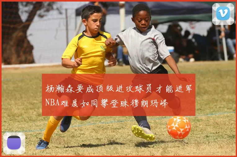 杨瀚森要成顶级进攻球员才能进军NBA难度如同攀登珠穆朗玛峰