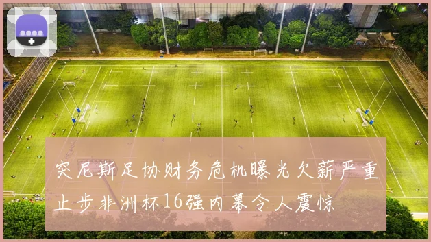 突尼斯足协财务危机曝光欠薪严重止步非洲杯16强内幕令人震惊