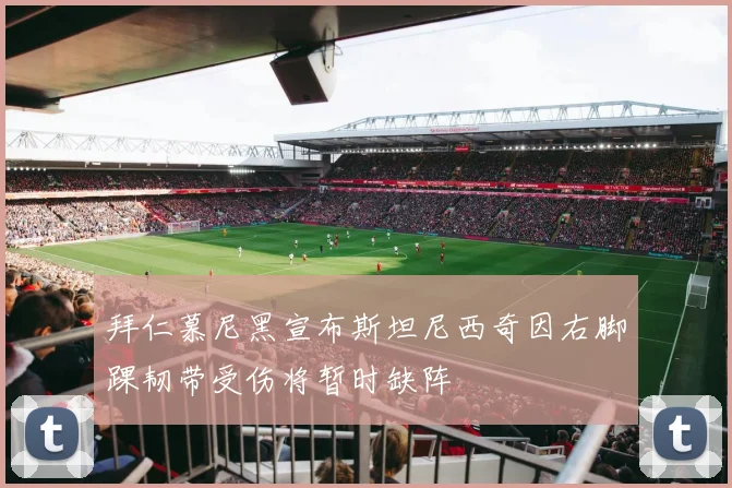 拜仁慕尼黑宣布斯坦尼西奇因右脚踝韧带受伤将暂时缺阵