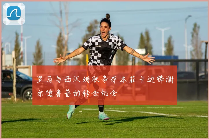 罗马与西汉姆联争夺本菲卡边锋谢尔德鲁普的转会机会