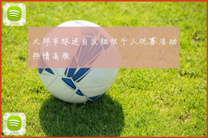 大邱市球迷自发组织千人观赛活动热情高涨